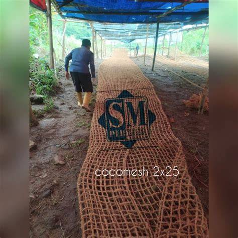 Jual Coir Murah & Terbaik - Harga Terbaru Maret 2026 - raincitystudios.com