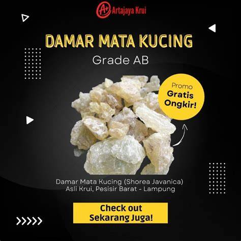 Jual Damar Kucing Murah & Terbaik - Harga Terbaru Maret 2026 - raincitystudios.com