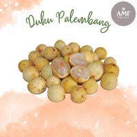 Jual Duku Palembang Terdekat - Harga Murah & Grosir Maret 2026 - raincitystudios.com