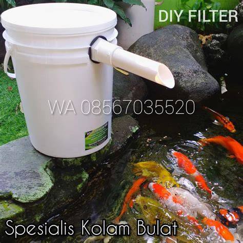 Jual Filter Kolam Ikan Terlengkap & Terbaik - raincitystudios.com