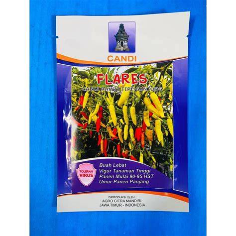 Jual Flares Terlengkap - Harga Murah Maret 2026 & Cicil 0% - raincitystudios.com