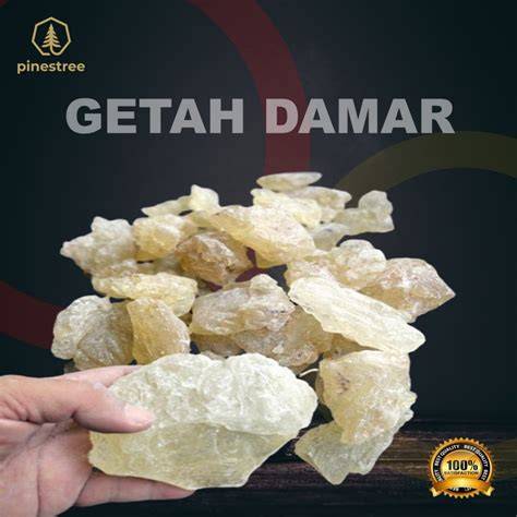 Jual Getah Damar Mata Kucing Murah & Terbaik - raincitystudios.com