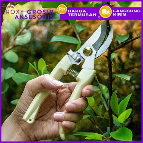 Jual Gunting Bunga Terlengkap & Harga Terbaru Maret 2026 - raincitystudios.com