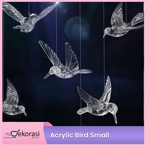 Jual Hiasan Burung Terlengkap & Terbaik - Harga Murah Maret 2026 - muktibox.com
