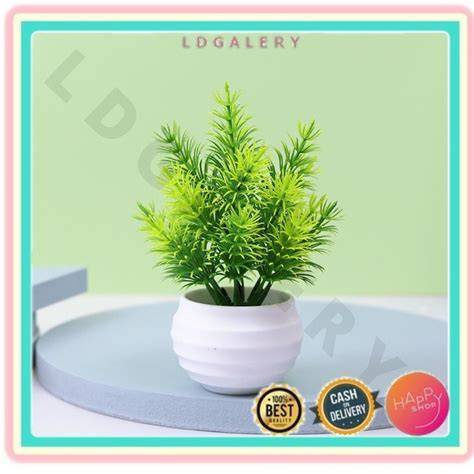 Jual Hiasan Pot Terbaik - Harga Murah Maret 2026 & Cicil 0 - raincitystudios.com