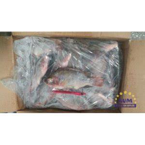 Jual Ikan Asin dari Supplier Terlengkap - Indonetwork - raincitystudios.com