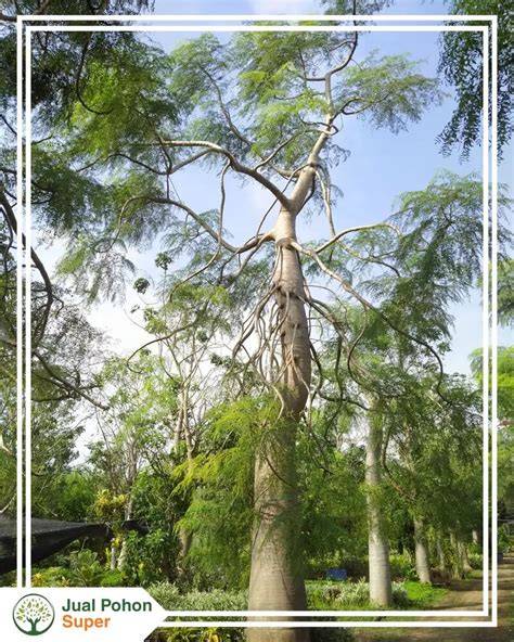 Jual j dari Supplier Terlengkap - Maret 2026 | Indonetwork - raincitystudios.com