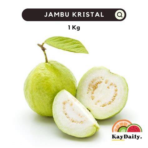 Jual Jambu Biji Kristal Terbaik - Harga Murah Maret 2026 ... - raincitystudios.com