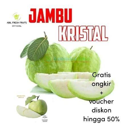 Jual Jambu Kristal Terdekat - Harga Murah & Grosir Maret 2026 - raincitystudios.com