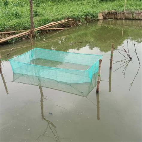 Jual Jaring Kolam Keramba Murah & Terbaik - raincitystudios.com