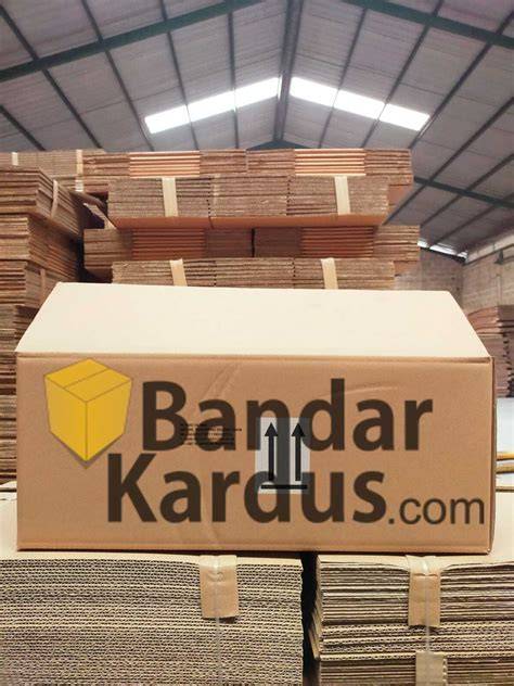 Jual Kardus Penyimpanan Terbaik - Harga Murah Maret 2026 - raincitystudios.com