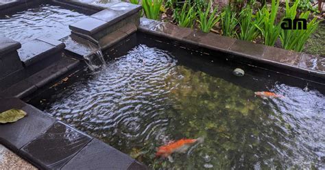Jual Kolam Ikan dari Supplier Terlengkap - Indonetwork - raincitystudios.com