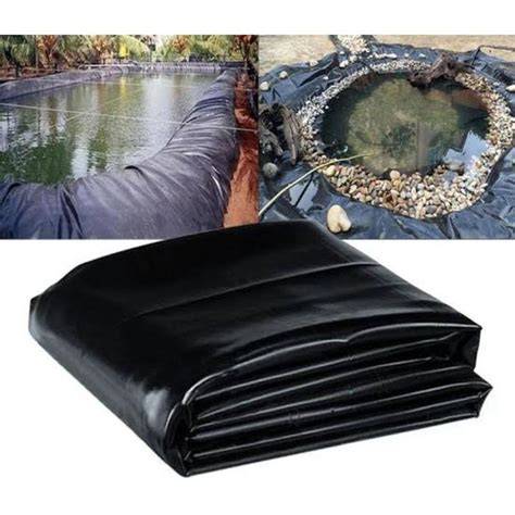 Jual Kolam Koi Plastik Murah & Terbaik - Harga Terbaru Maret 2026 - raincitystudios.com
