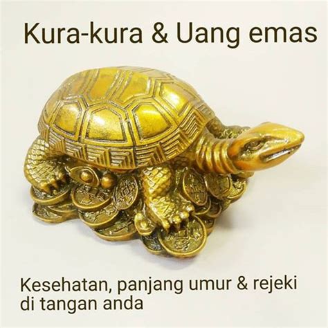 Jual Kura Kura Emas Terlengkap & Terbaik - Harga Murah - muktibox.com