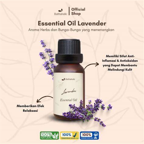 Jual Lavender Oil Essential Murah & Terbaik - Harga Terbaru Maret … - raincitystudios.com