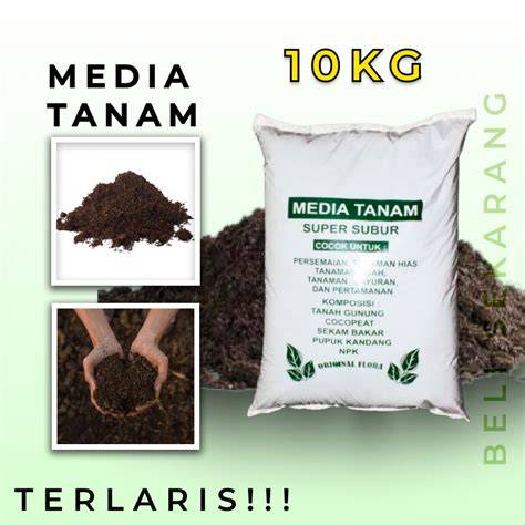 Jual Media Tanam Terbaik - Harga Murah Maret 2026 … - raincitystudios.com