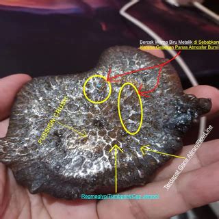 Jual Meteor Terlengkap & Harga Terbaru September 2025 | Shopee … - wintechmobiles.com