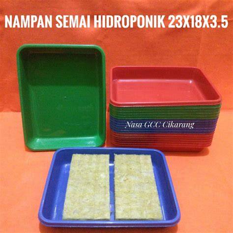 Jual Nampan Semai Terlengkap - Harga Terbaru Maret 2026 - raincitystudios.com