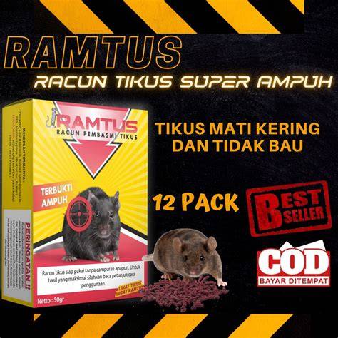 Jual Obat Pembasmi Tikus Murah - Harga Terbaru Maret 2026 - raincitystudios.com