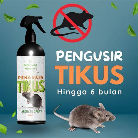 Jual Obat Pengusir Tikus Murah - Harga Terbaru Maret 2026 - raincitystudios.com