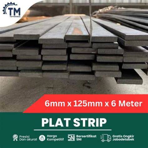 Jual Plat Besi 6Mm Terbaik - Harga Murah Maret 2026 … - raincitystudios.com