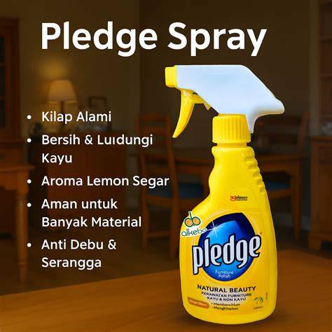 Jual Pledge Spray Terlengkap & Terbaik - Harga Murah Maret 2026 - raincitystudios.com
