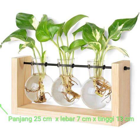 Jual Pot Kaca Gantung Terbaik - Harga Murah Maret 2026 - raincitystudios.com