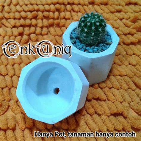 Jual Pot Kaktus Terbaik - Harga Murah Januari 2026 & Cicil 0% - raincitystudios.com