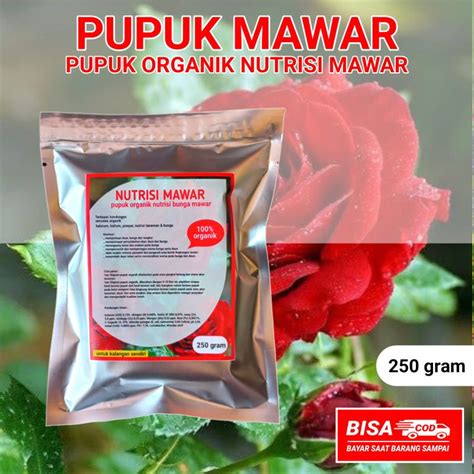 Jual Pupuk Bunga Mawar Terbaik - Harga Murah Februari 2026 - raincitystudios.com