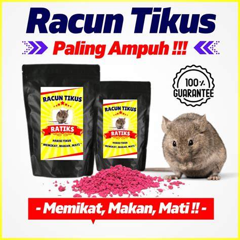 Jual Racun Tikus Ampuh Terlengkap & Harga Terbaru Februari 2026 ... - raincitystudios.com