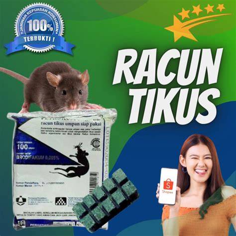 Jual Racun Tikus Original Murah & Terbaik - Harga Terbaru Maret 2026 - raincitystudios.com