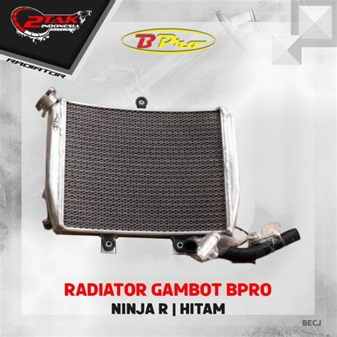 Jual Radiator Bpro Ninja R Terlengkap - Harga Murah Januari - raincitystudios.com