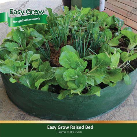 Jual Raised Bed Terbaik - Harga Murah Maret 2026 & Cicil 0 - raincitystudios.com