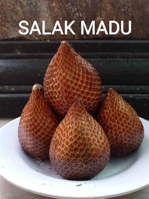 Jual Salak Madu Terdekat - Harga Murah & Grosir Maret 2026 - raincitystudios.com