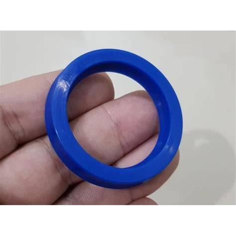 Jual Seal Manifold Terbaik - Harga Murah Maret 2026 & Cicil 0% - raincitystudios.com