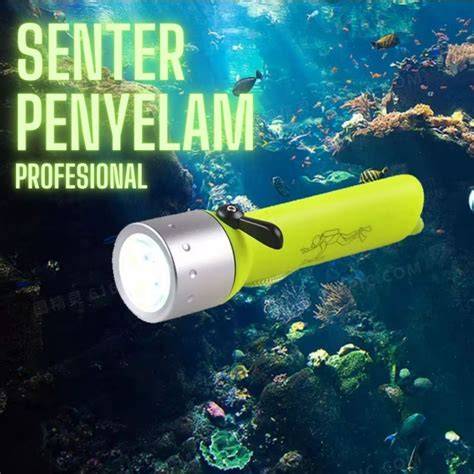 Jual Senter Selam Diving Murah & Terbaik - Harga Terbaru Maret 2026 - raincitystudios.com