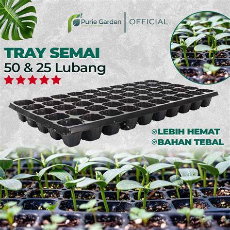 Jual Tray Bibit Semai Murah & Terbaik - Harga Terbaru Maret 2026 - raincitystudios.com