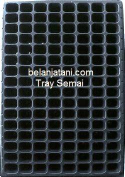 Jual Wadah Semai Benih Murah & Terbaik - Harga Terbaru Maret 2026 - raincitystudios.com