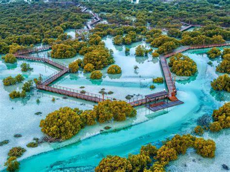 Jubail Island Mangrove Park - Jubail Island - raincitystudios.com