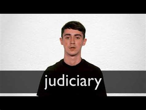 JUDICATURE definition in the Cambridge English Dictionary