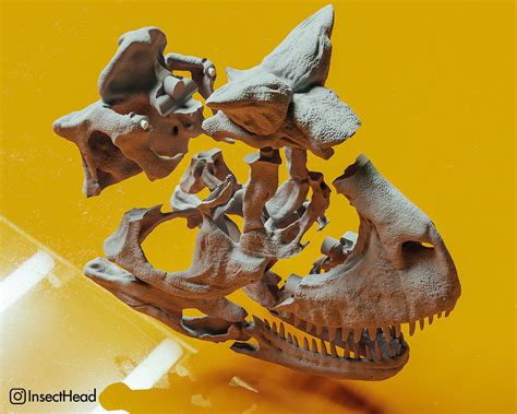 Jurassic Dinosaur Fossil Skull 3D Printable Model - Cults 3D - muktibox.com