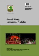 JURNAL BIOLOGI UNIVERSITAS ANDALAS - muktibox.com