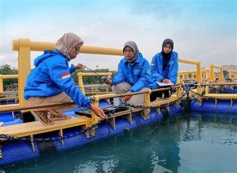 Jurusan Kelautan - Info Kuliah & Prospek Kerjanya - wintechmobiles.com