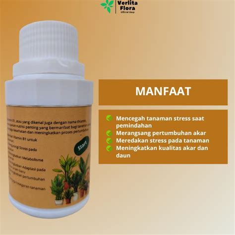 JXFarm Vitamin B1 Tanaman Anti Stress Import - Shopee Indonesia - raincitystudios.com