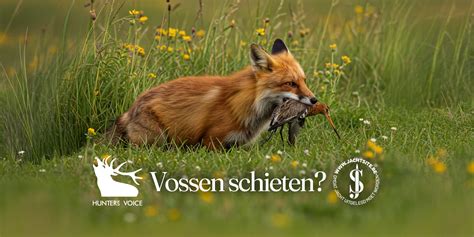 Jacht Vossen Onlyfans Leaked [HD] 🍆