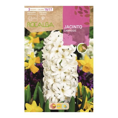 Profile picture of Jacinto Cartwright