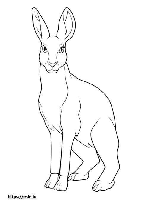 Jackrabbit Coloring Page