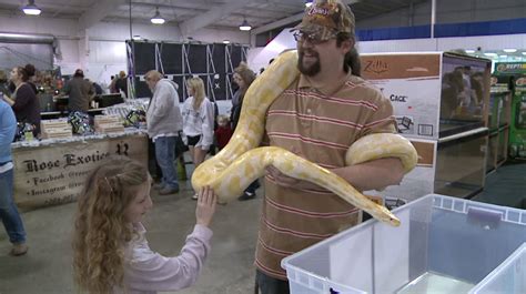 February 18, 2024. WBBJ 7 Eyewitness News Staff. JACKSON, Tenn.—Animal lovers returned to the Jackson Fairgrounds for day two of the Exotic Pet Expo. This event allows individuals to get up .... 