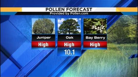 208-703. 61-341. 78-266. Very High. 704+. 342+. 267+. The weather and time of day can be a big factor in how pollen levels can affect you. In the evening, as pollen falls to the ground and heat eases, your hay fever symptoms can get worse.. 