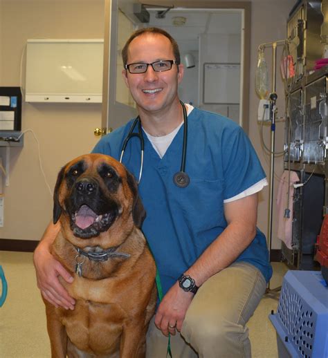 Jacksonville veterinary hospital. Welcome to our Grooming Your Pet page. Contact Jacksonville Veterinary Hospital today at (410) 666-1390 or visit our office servicing Phoenix, MD 